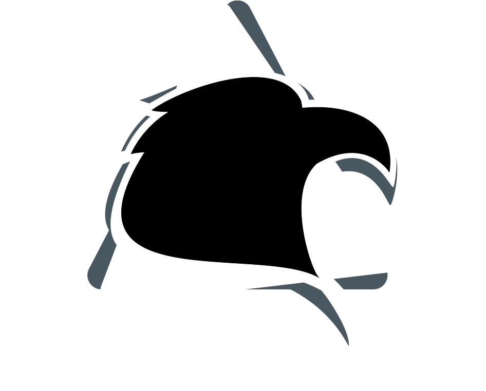 Início