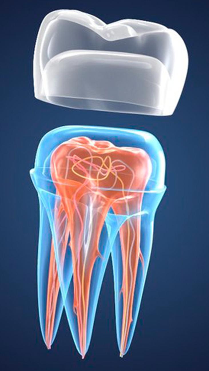 Revolução na Odontologia: Japão Testa Medicamento Pioneiro para Regeneração de Dentes